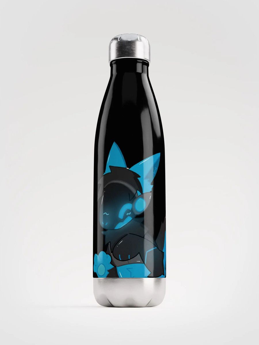 Stainless Steel Bottle product image (1)