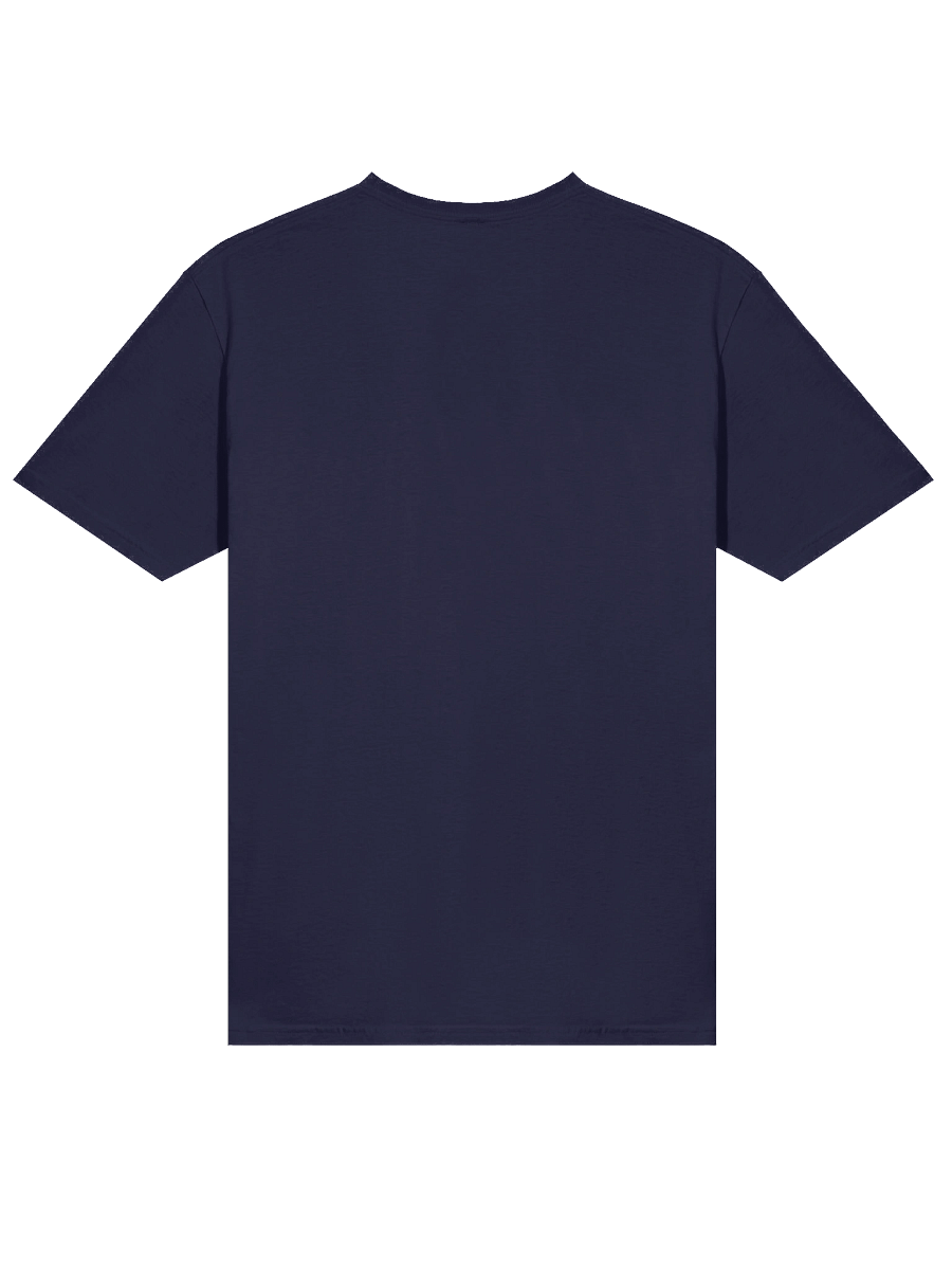 Unity in Diversity Flag Sphere T-Shirt product image (24)
