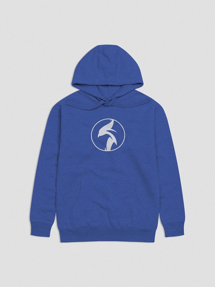 Hoodie product image (1)