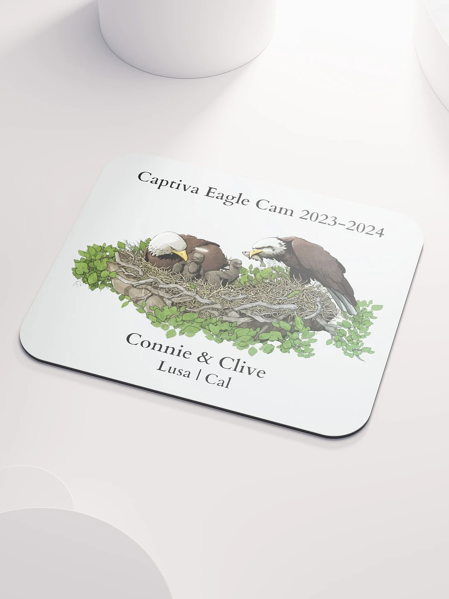 Captiva Eagle Cam 2023-2024 Mouse Pad product image (4)
