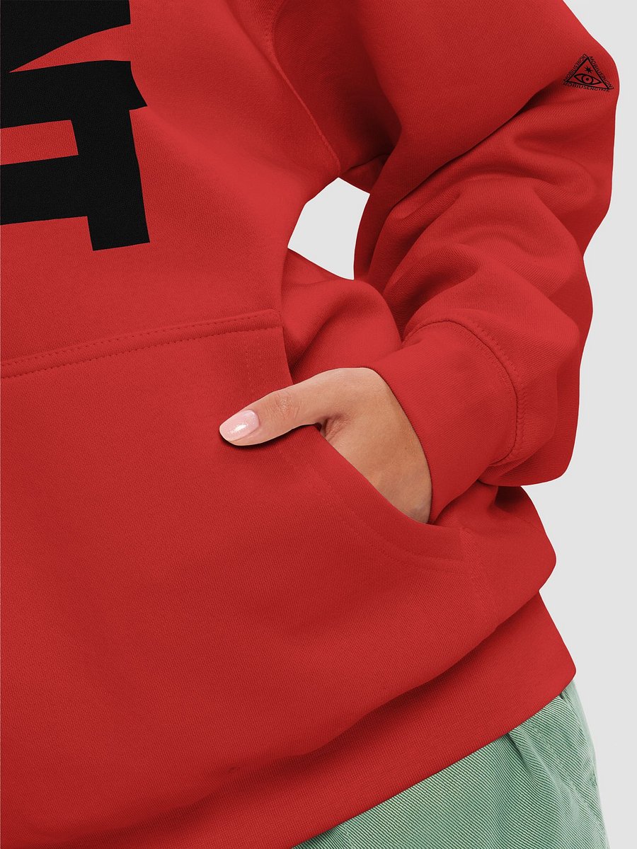 FUNT Unisex Hoodie product image (8)