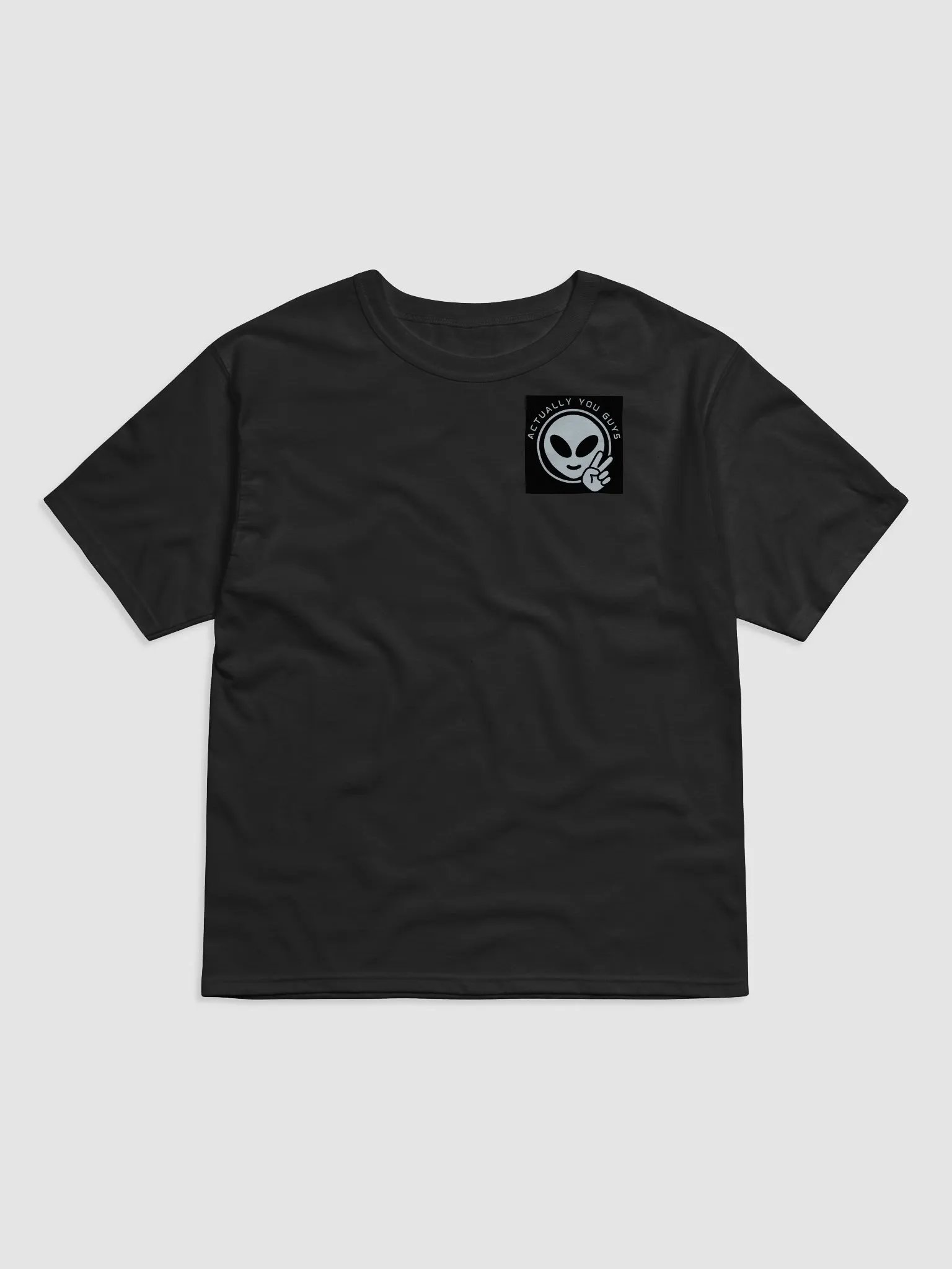 Actually You Guys product image (1)