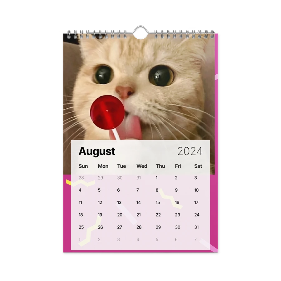 Wall Calendar (2024): Meme Cats product image (4)