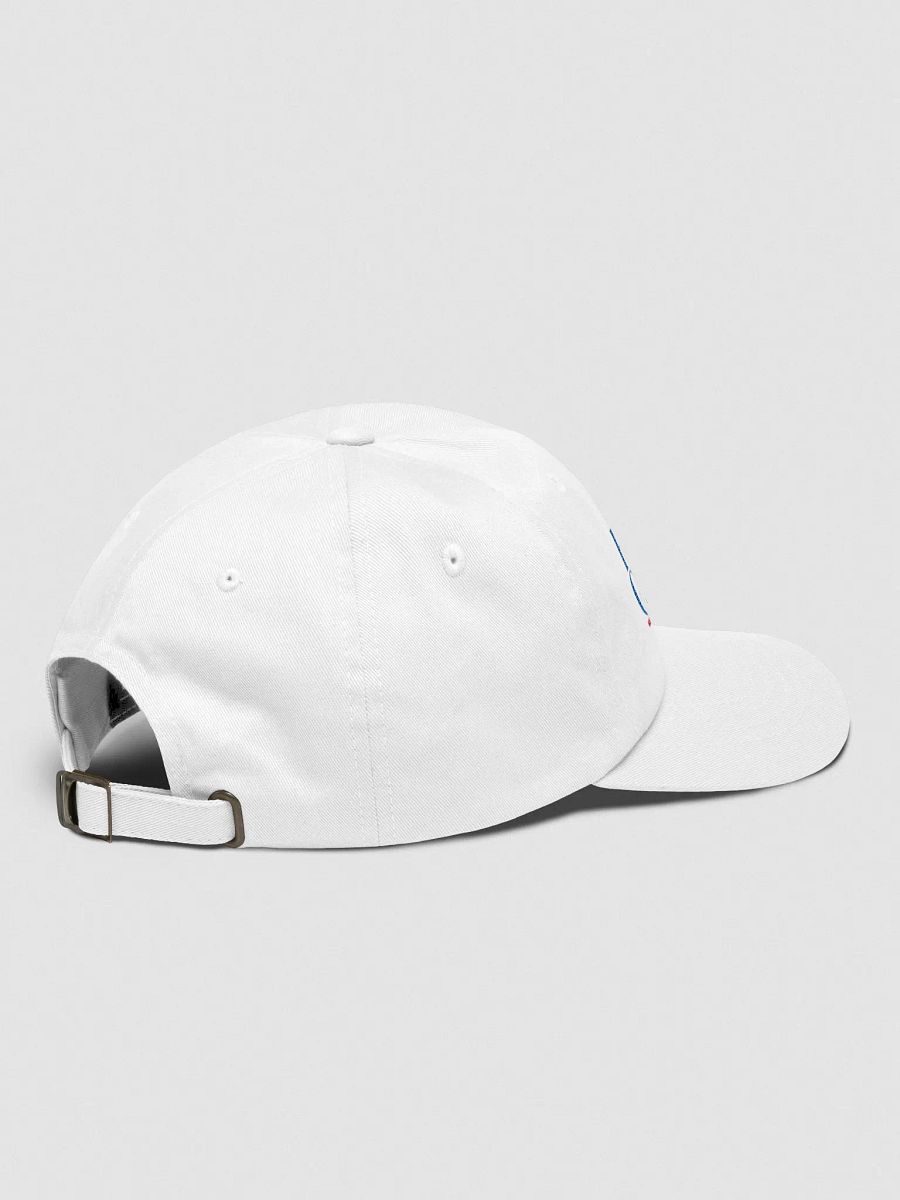 Flatty-Gree 23 Dad Cap product image (3)