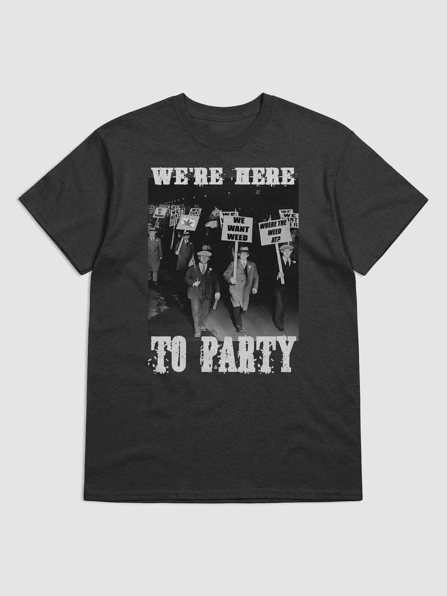 WE'RE HERE TO PARTY product image (2)