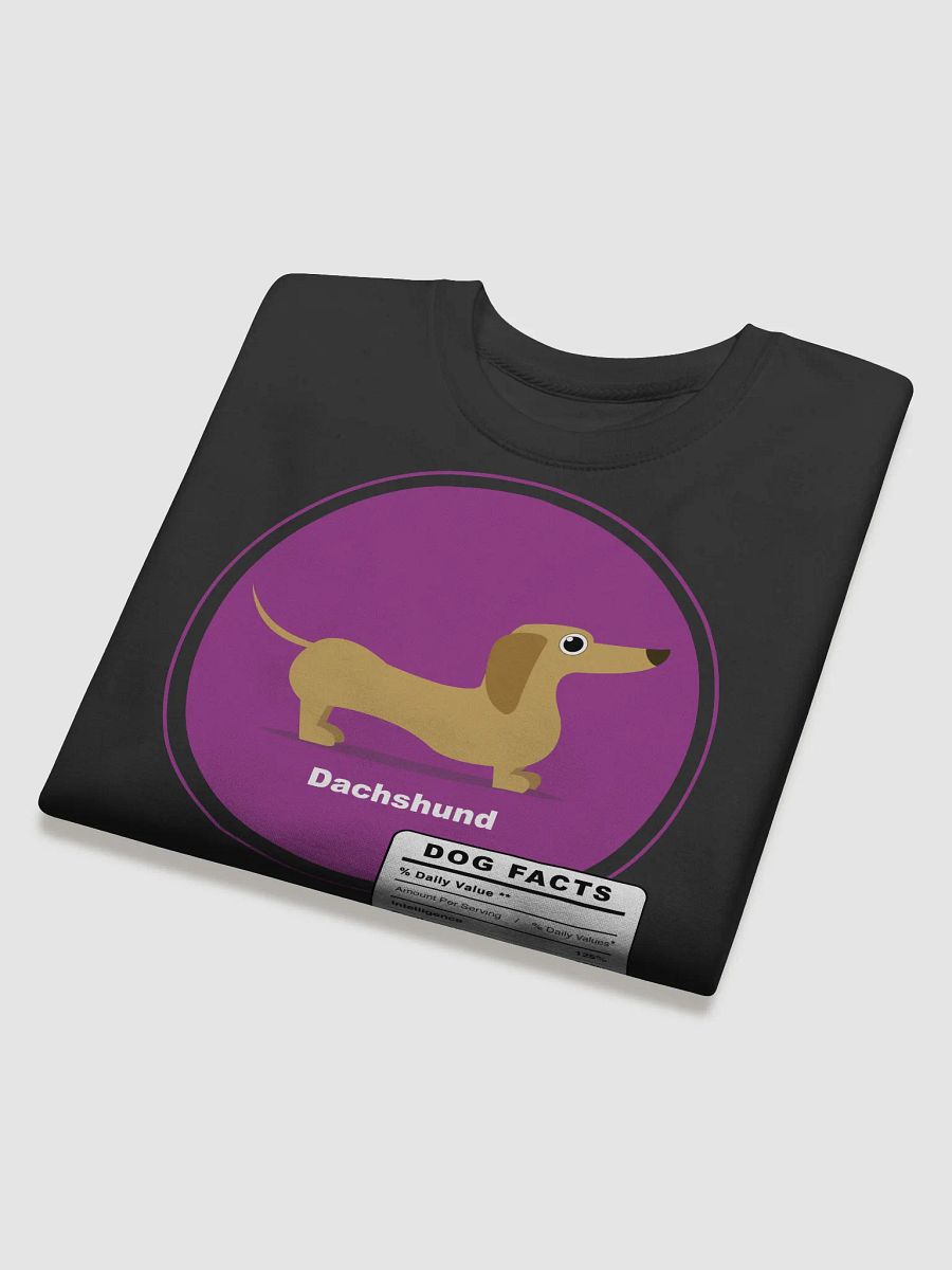 dachshund dog facts product image (4)