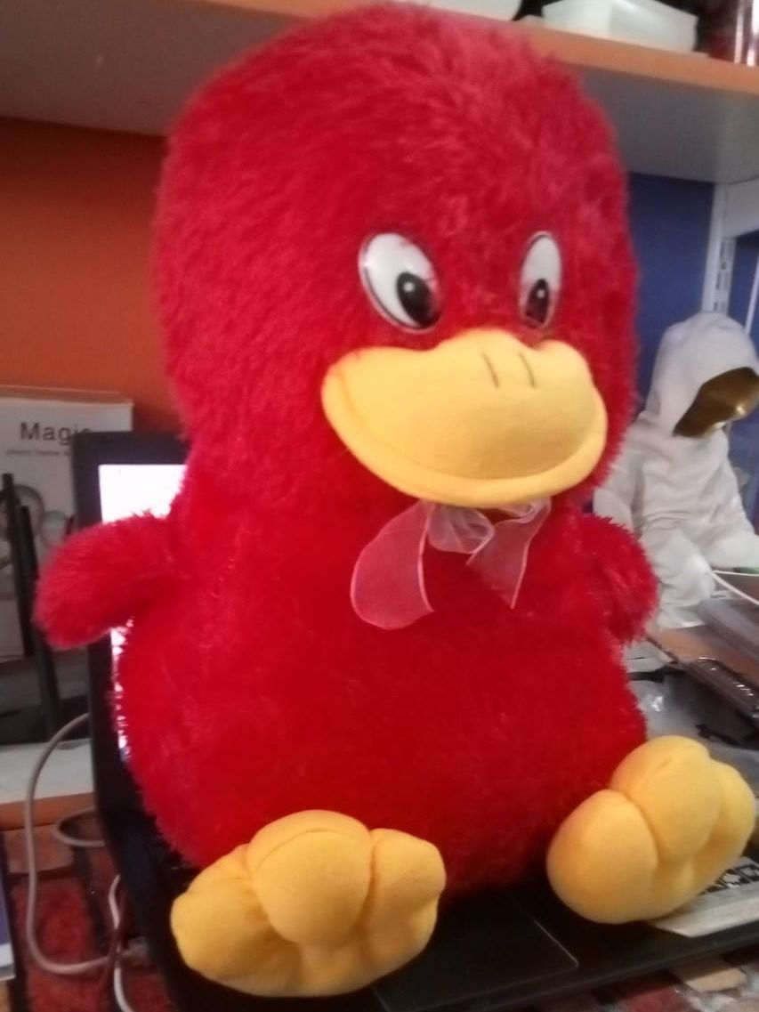 DUCK SOFT TOY product image (3)