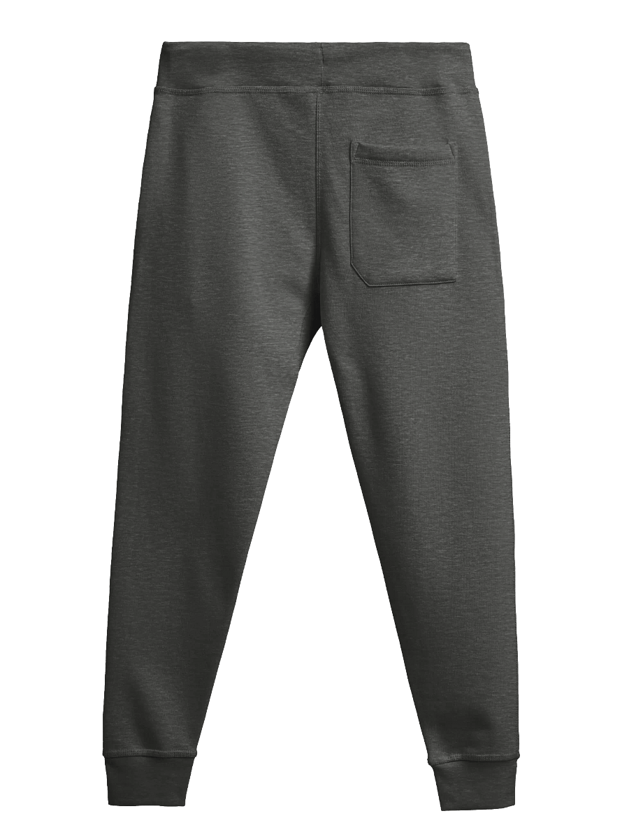 NIGHT RAVEN JOGGERS product image (5)