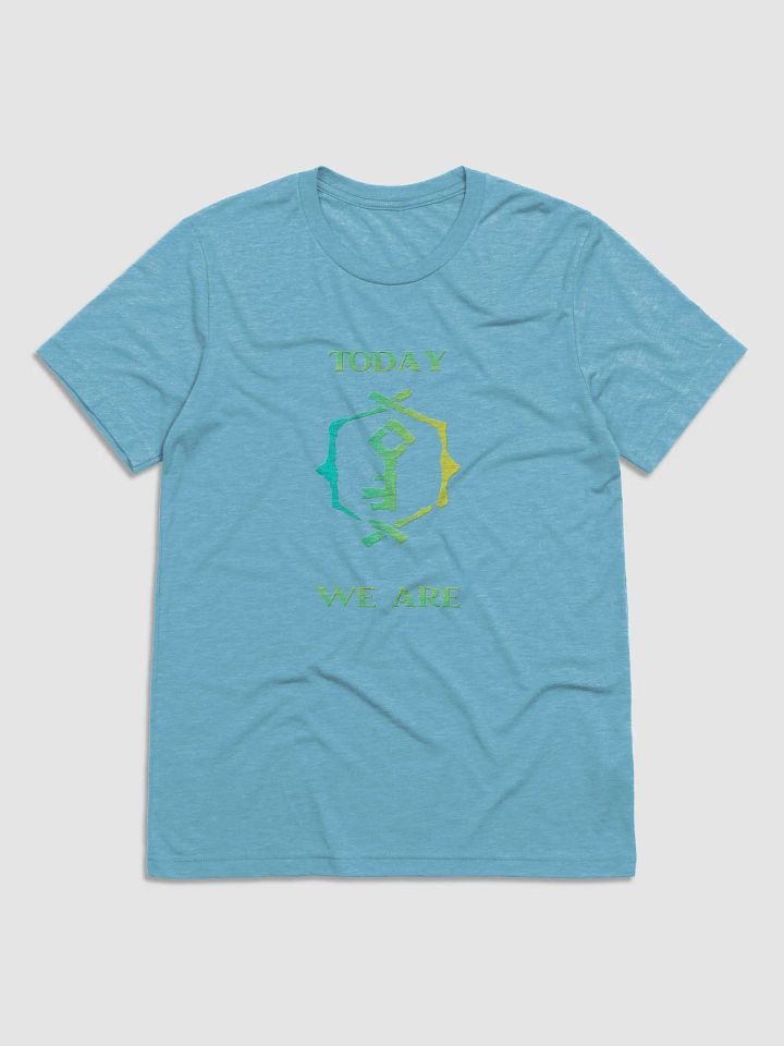 We all know the truth, Hoarder tshirt - Unisex product image (1)