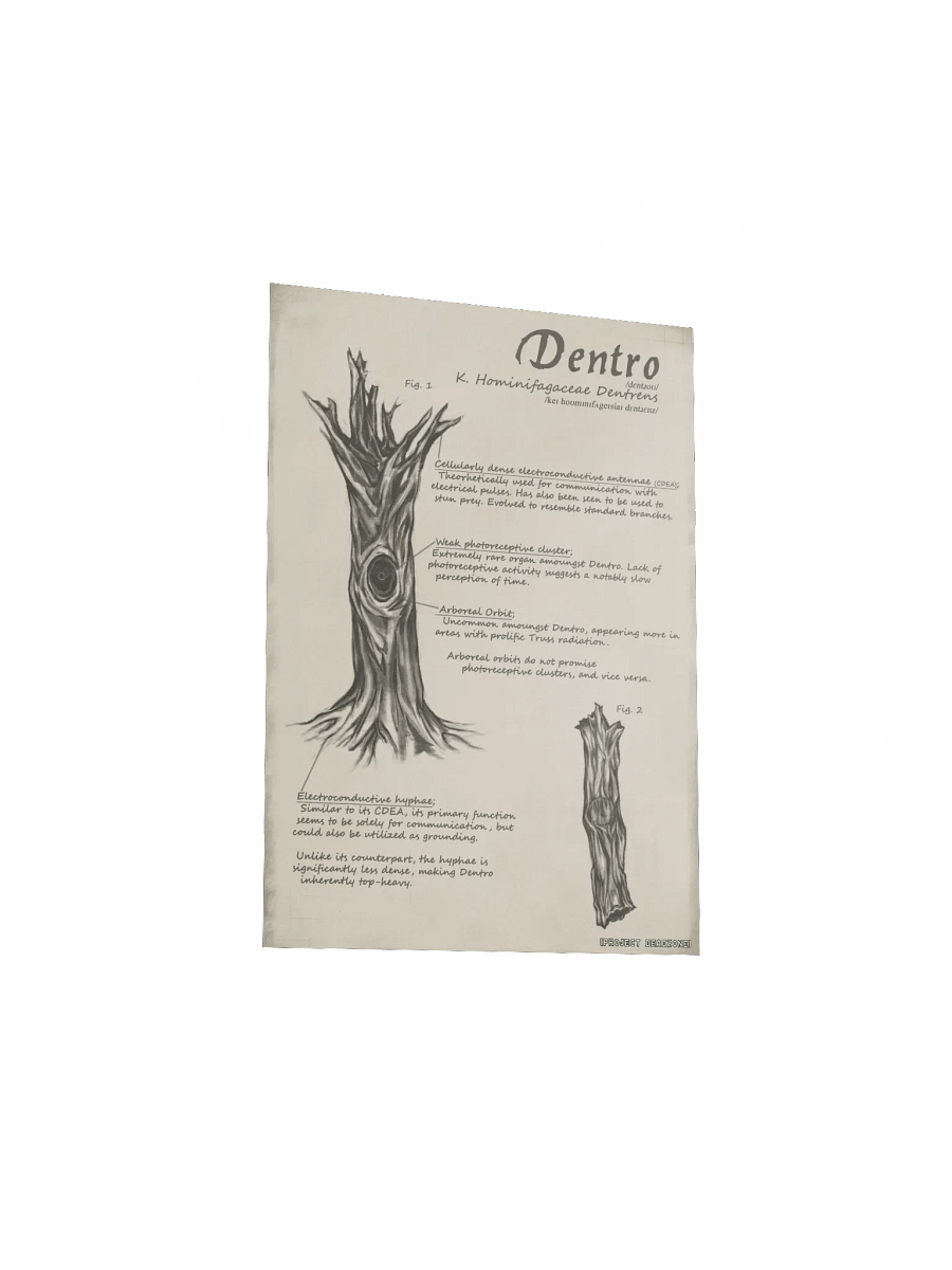 Dentro Poster product image (3)