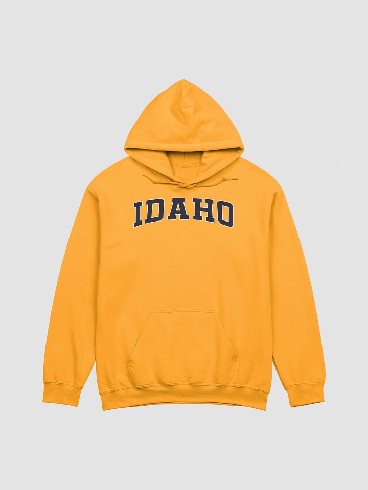 Idaho Vintage Stylish Classic Hoodie product image (1)