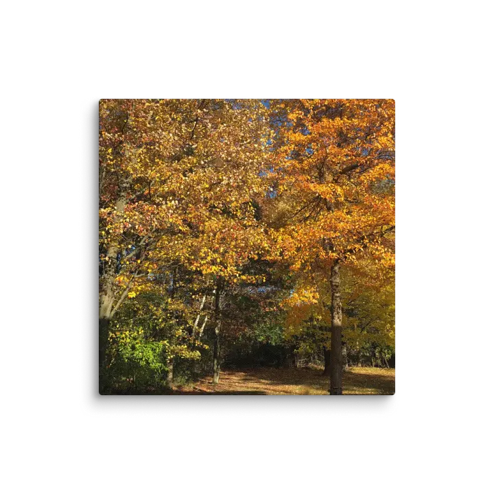 Fall Leaves Canvas product image (1)