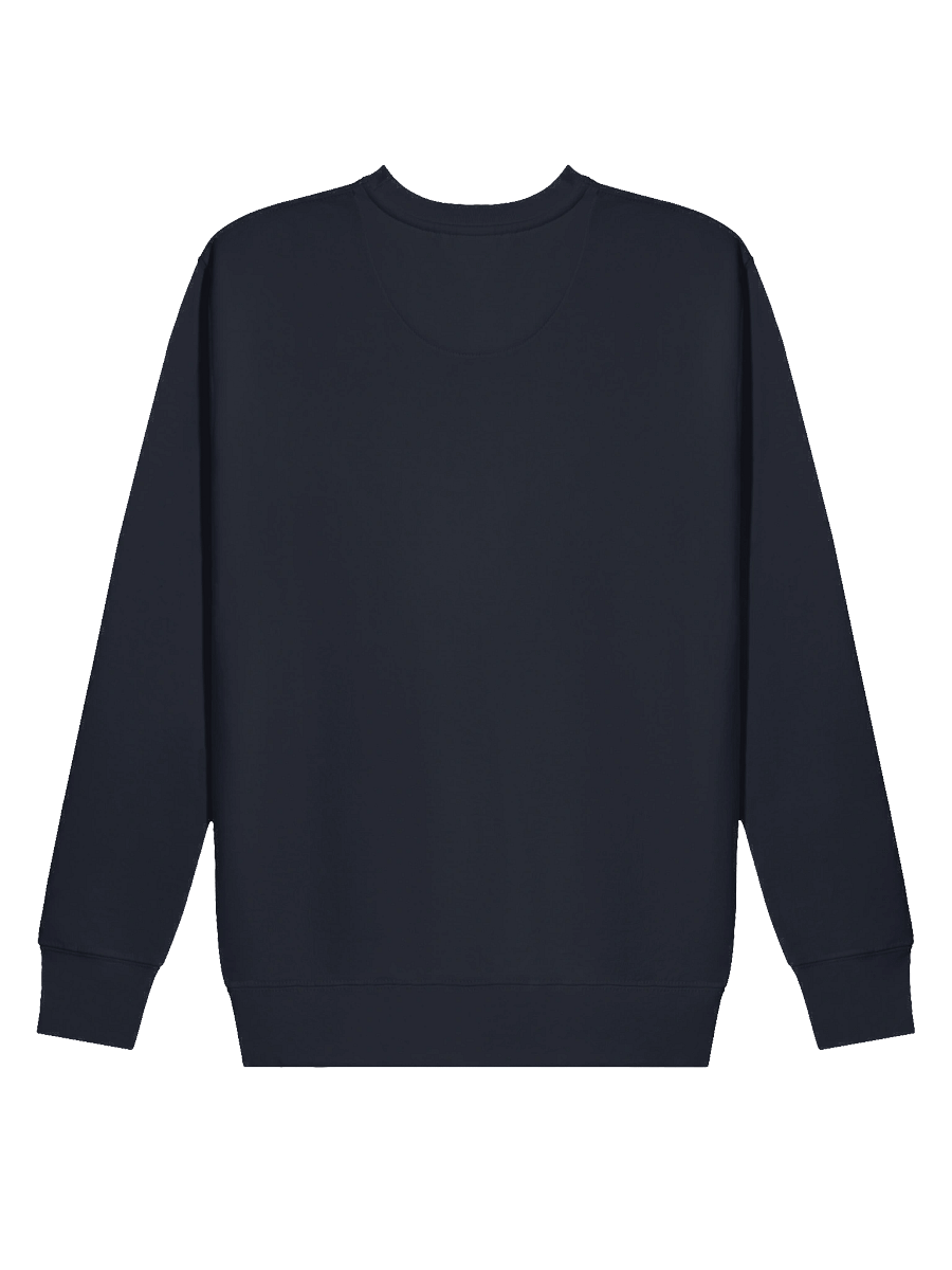 Flight of the Cinnamon Hummingbird Premium Sweatshirt product image (5)