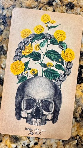 What message does the Sun card bring for this week? 

Find the Merry in the Season

For a more in depth Personal Reading DM m...