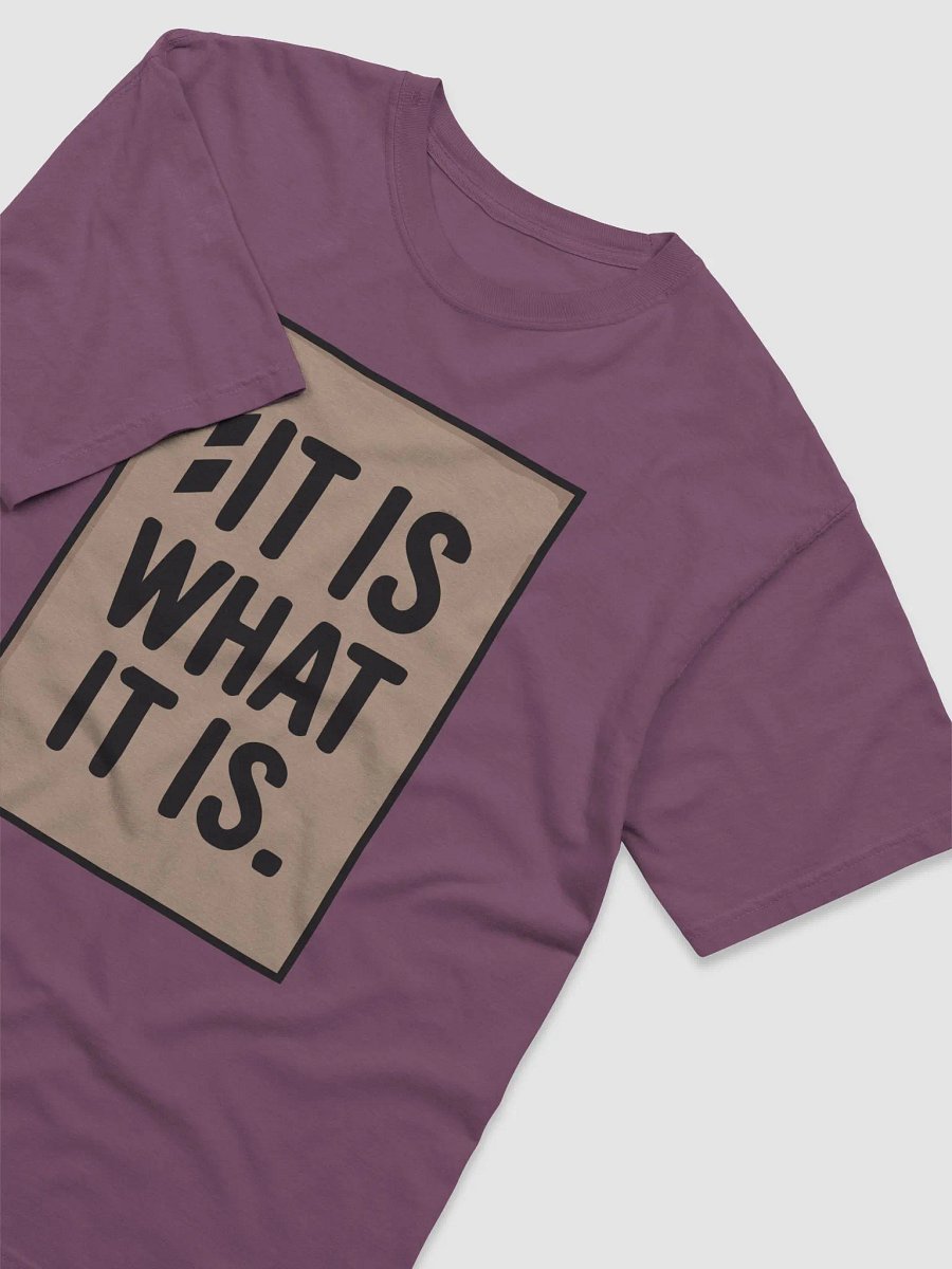 It Is What It Is - T shirt product image (3)