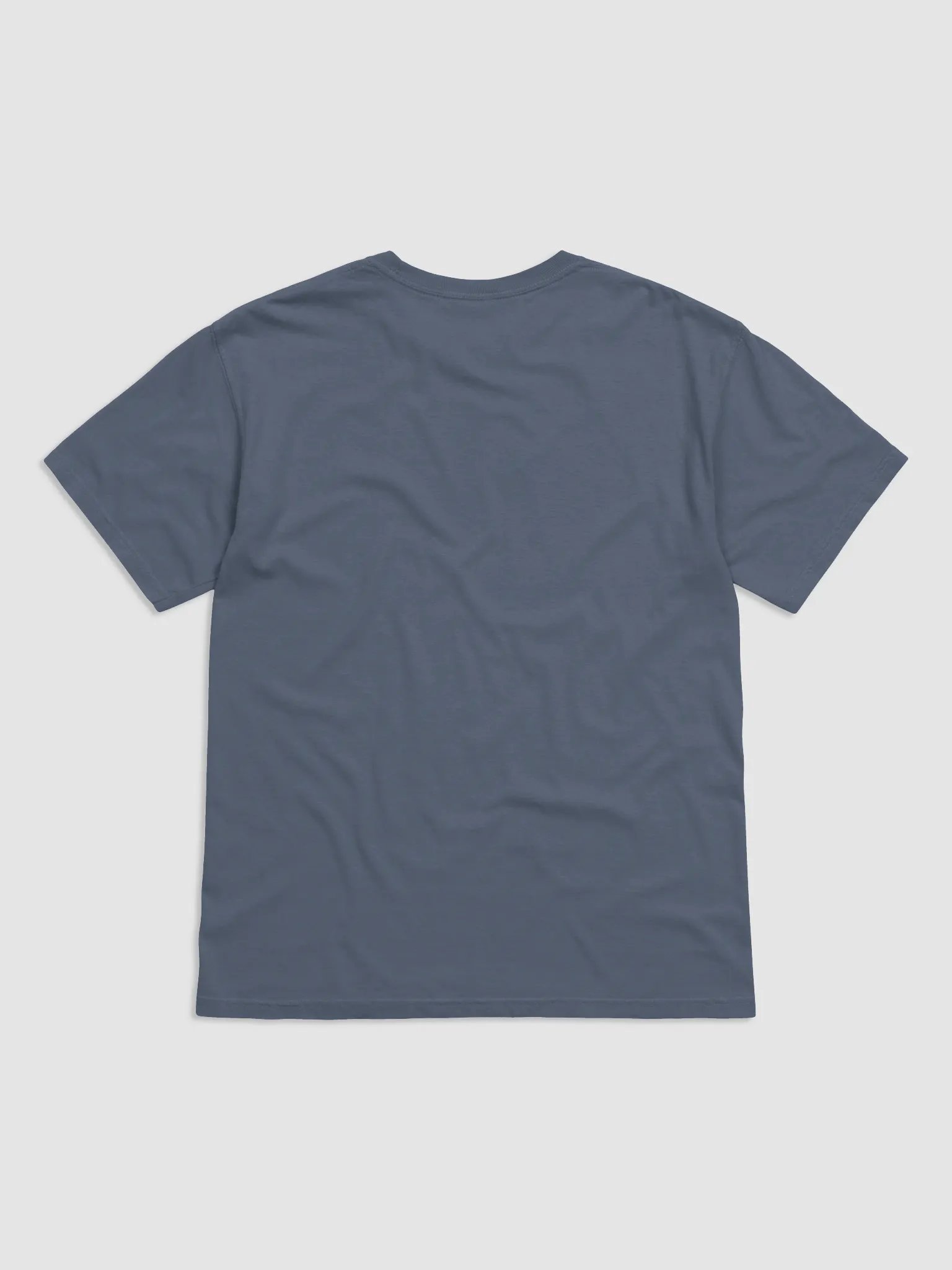 Stay Wild | Heavyweight T-Shirt product image (18)