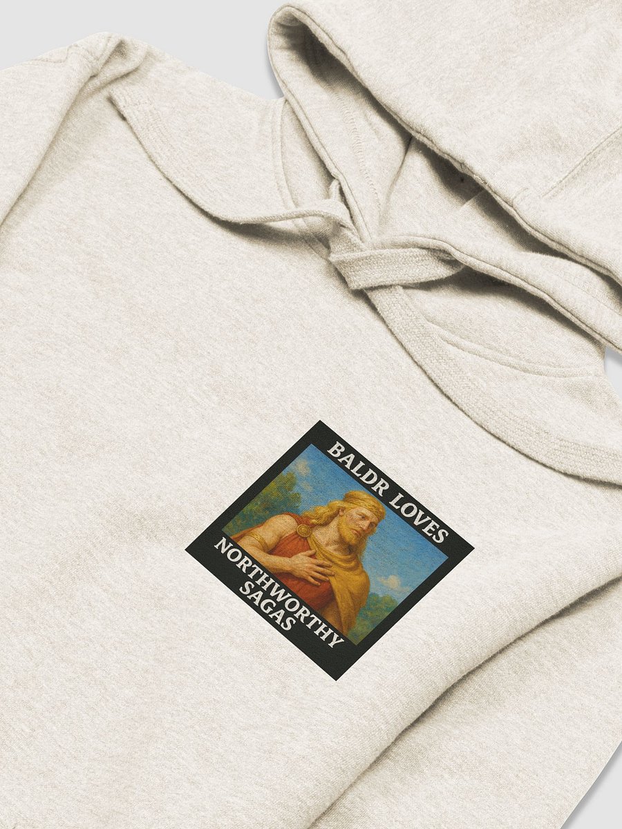 Baldr loves Northworthy Sagas hoodie! product image (25)