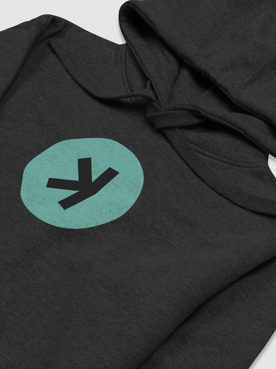 Kaspa Logo Hoodie! (unisex) product image (3)