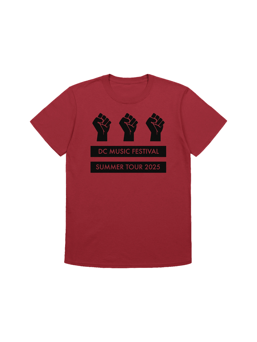 DC Music Fest Summer Tour Fist Flag product image (1)