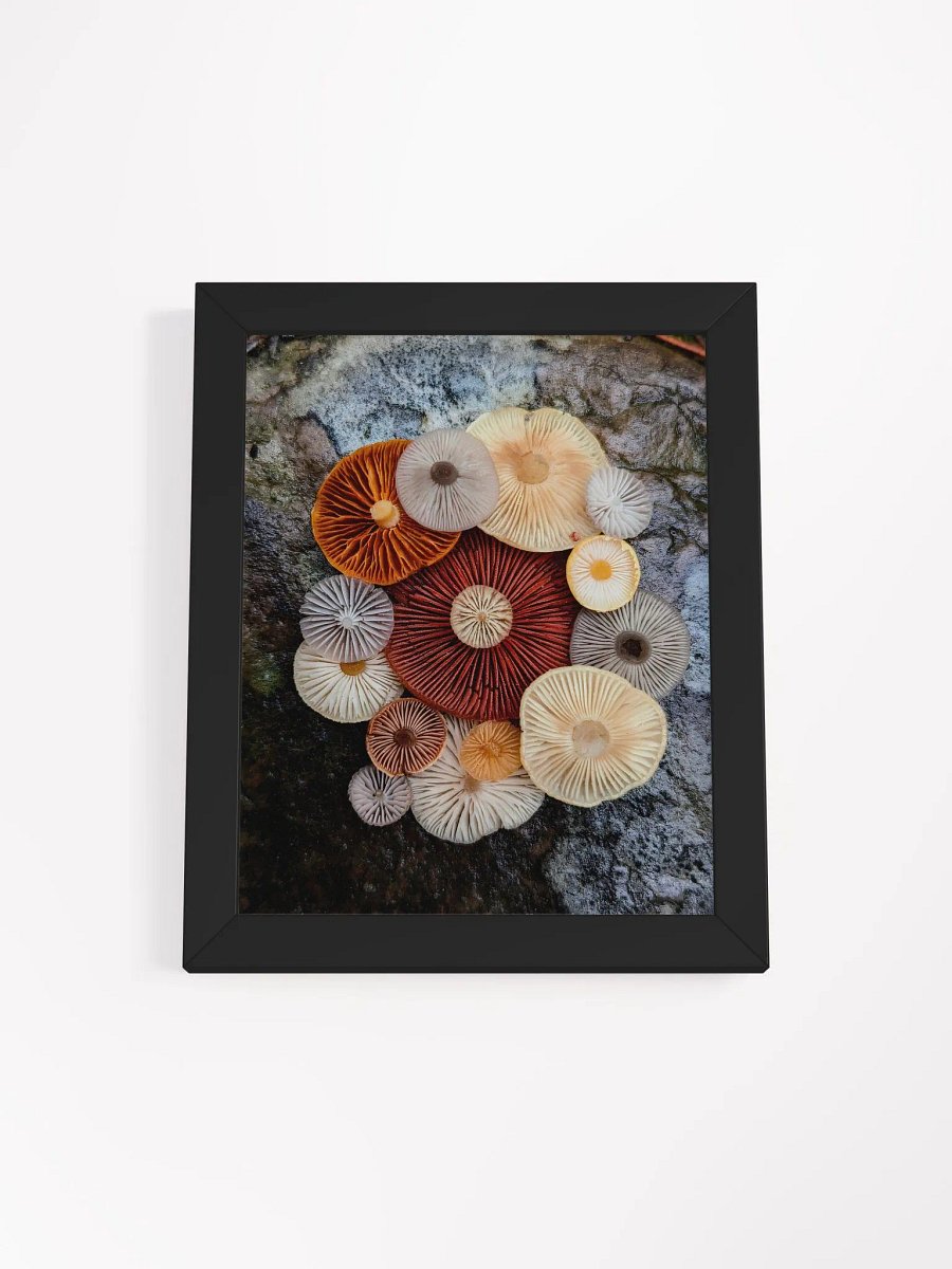 Fungal Color Palette (Frame) product image (1)