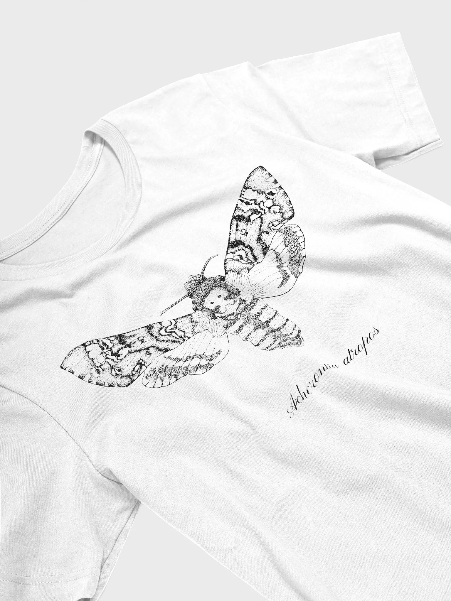 Death's Head Hawkmoth product image (9)