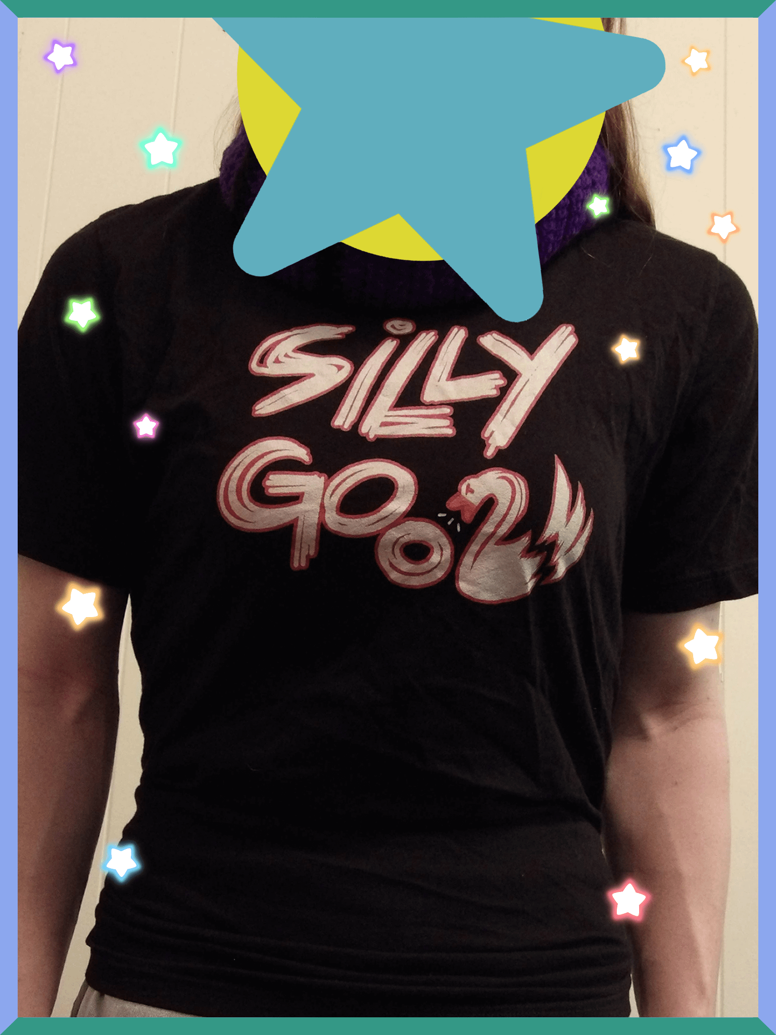 Silly Goose - Shirt product image (1)