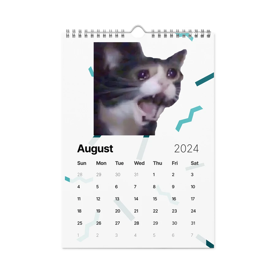 Wall Calendar (2024): Meme Cats product image (4)