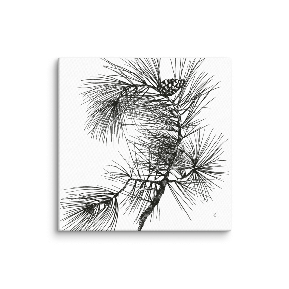 Blank Canvas Collection - Pine Branch product image (1)