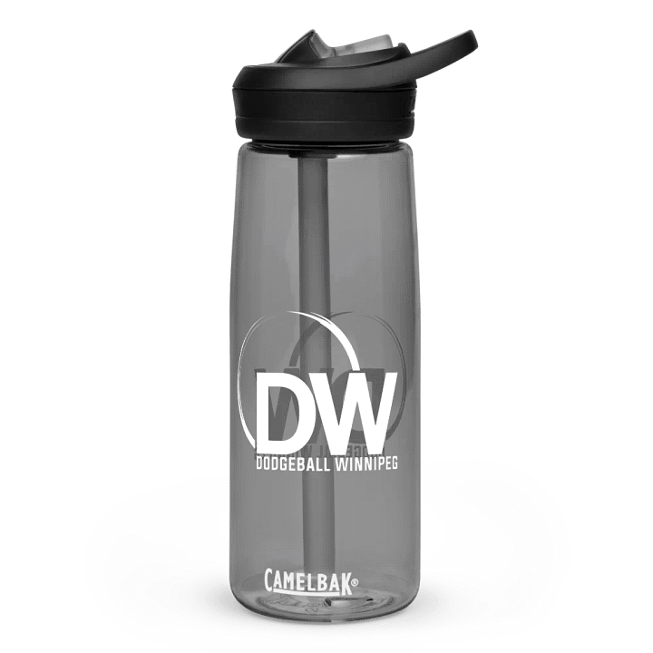 Dodgeball Winnipeg Water Bottle product image (1)