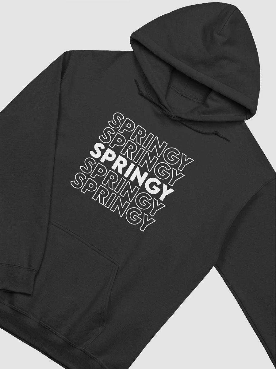 Springy Back-Print hoodie! product image (2)