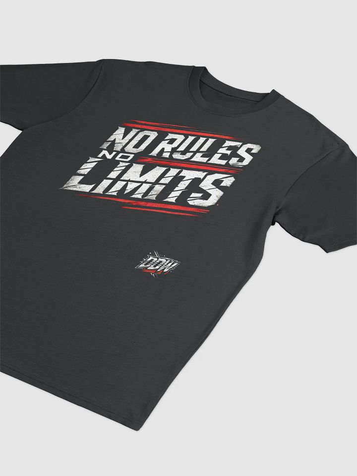 DDW NO RULES NO LIMITS HEAVY T-SHIRT product image (2)