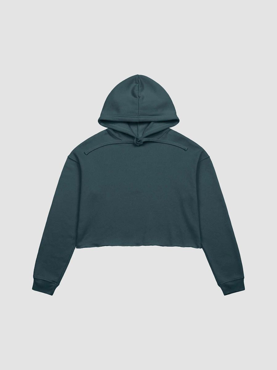 NST BEAR product image (4)