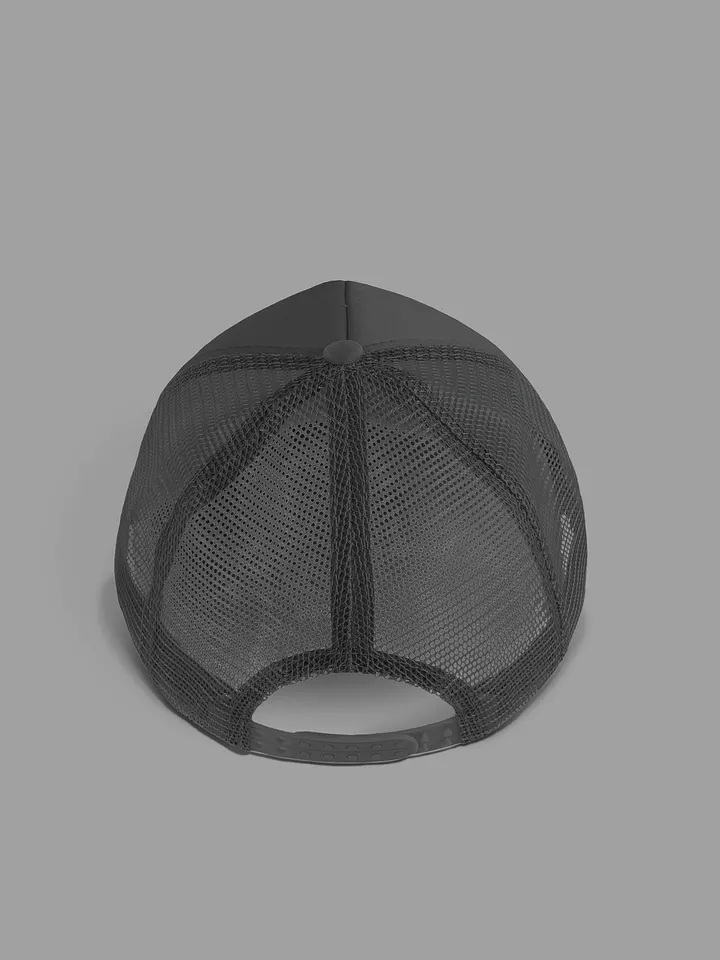 Cognitive Dissonance Hat product image (2)