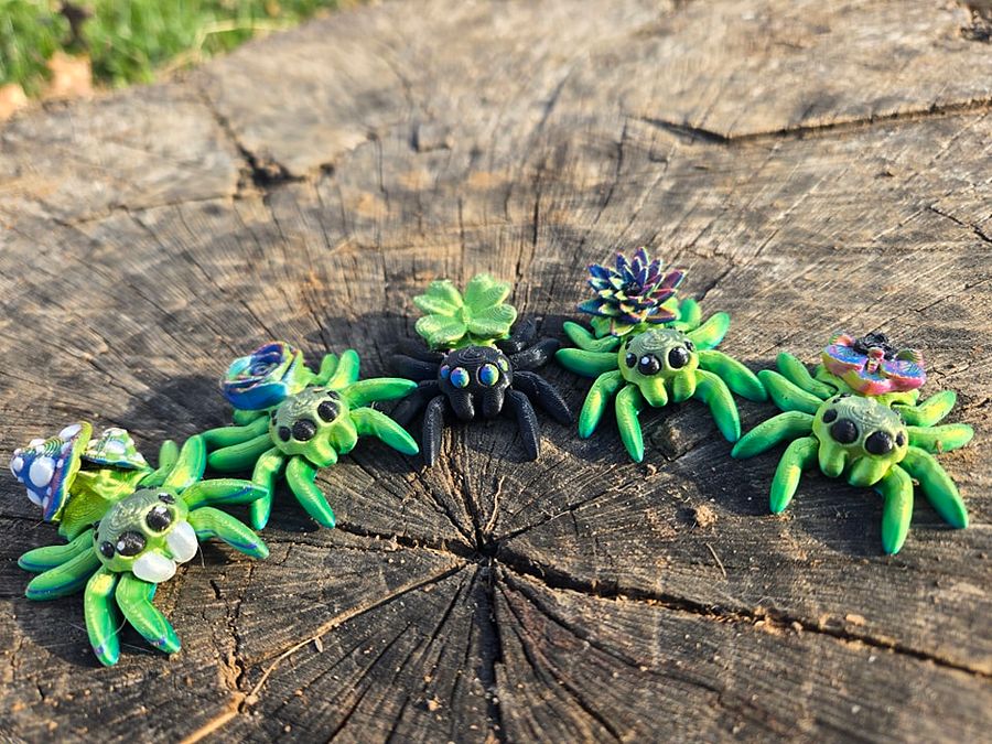 Adopt a Spider! product image (10)