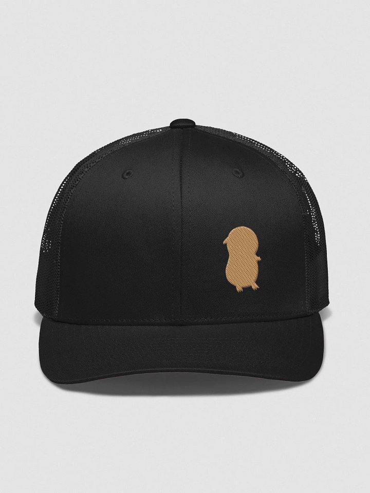 WHEAT BLACK AND GOLD HAT product image (1)
