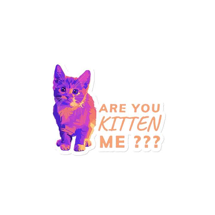 ARE YOU KITTEN ME??? product image (2)