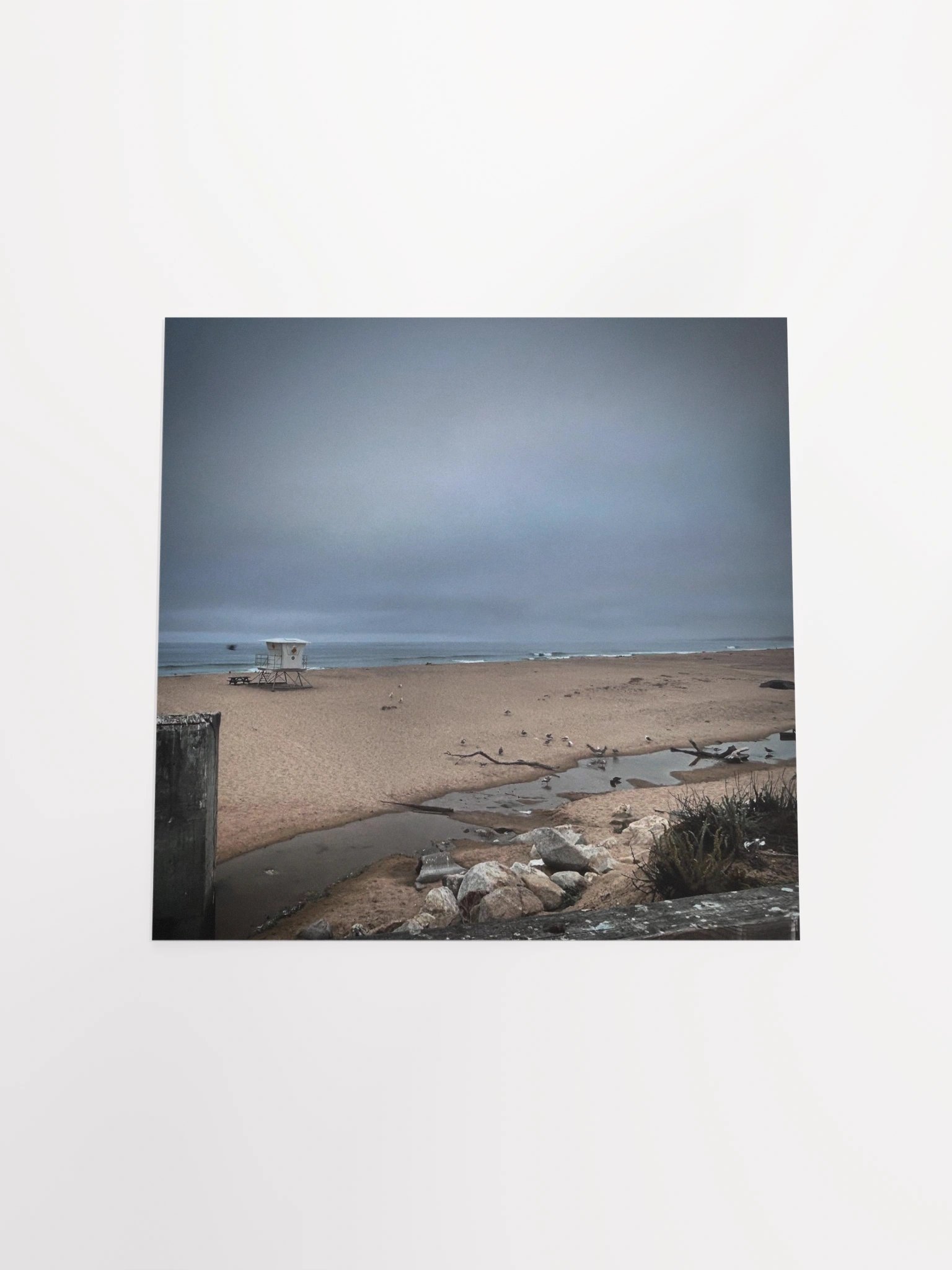 Early Tide product image (18)