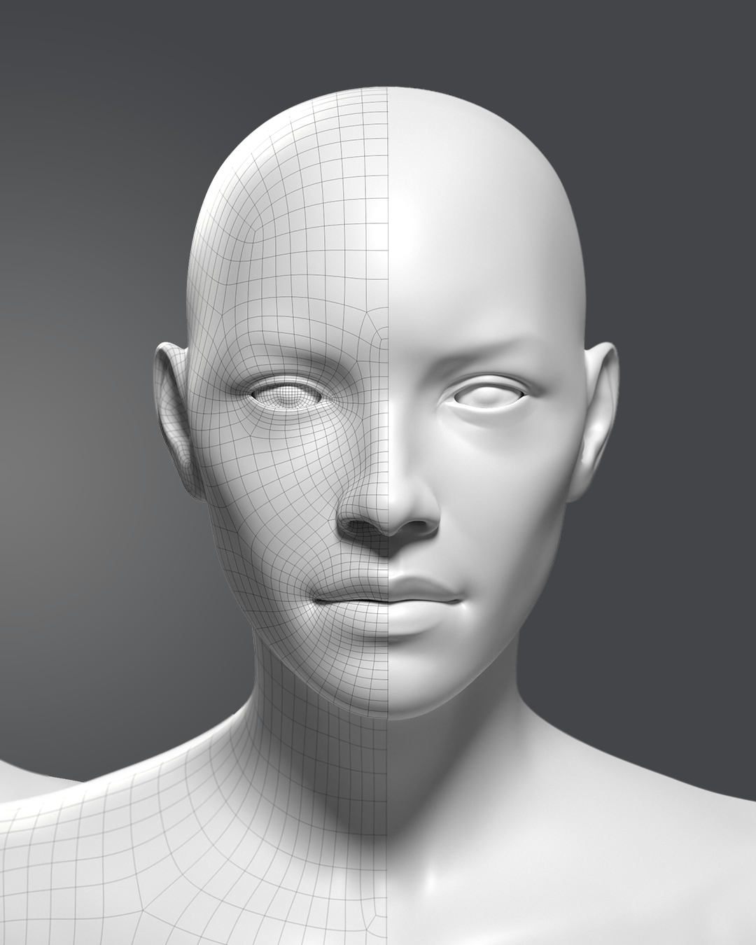 Basemesh Kit product image (4)