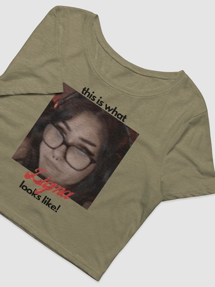 Snowmonk Ligma Cropped Tee product image (4)