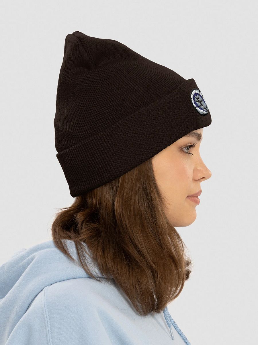 Balled Isopod Embrodiered Beanie product image (22)