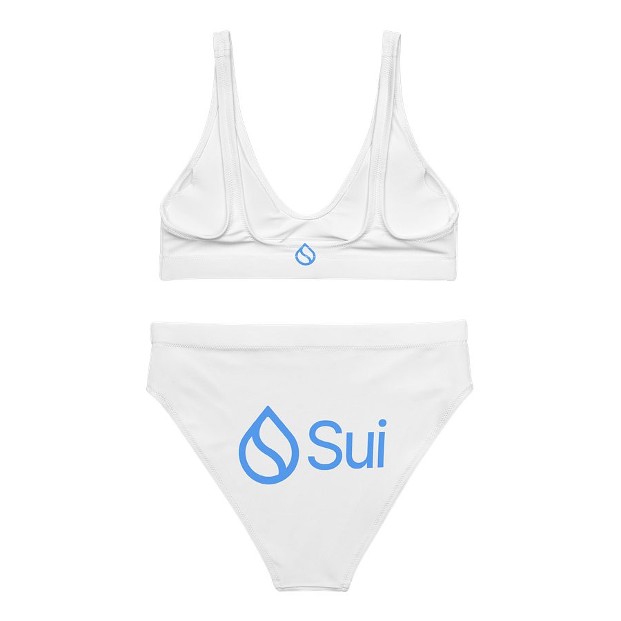 High Waisted Bikini/Sui product image (2)