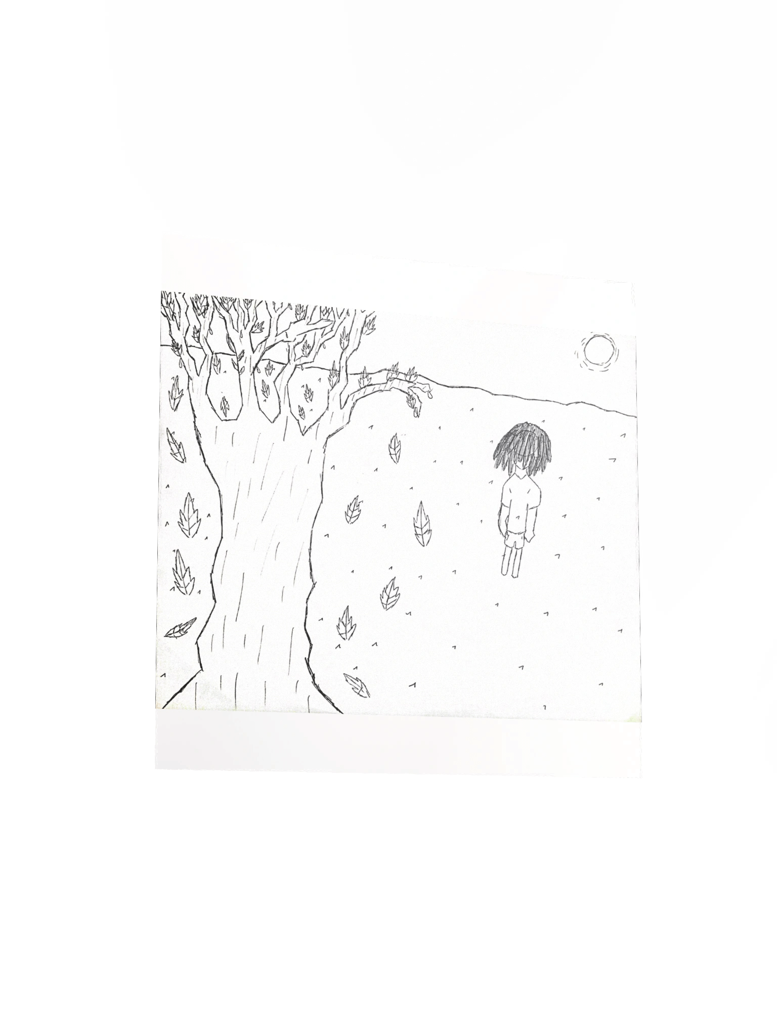 Trees product image (12)