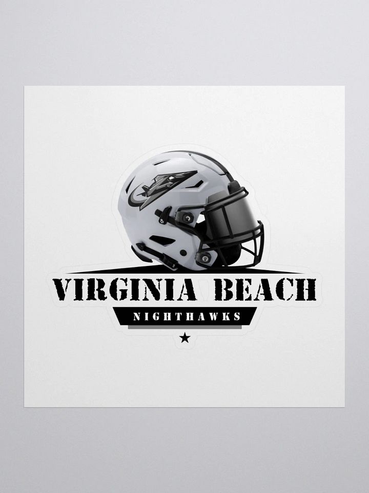 Virginia Beach Nighthawks Stickers product image (1)
