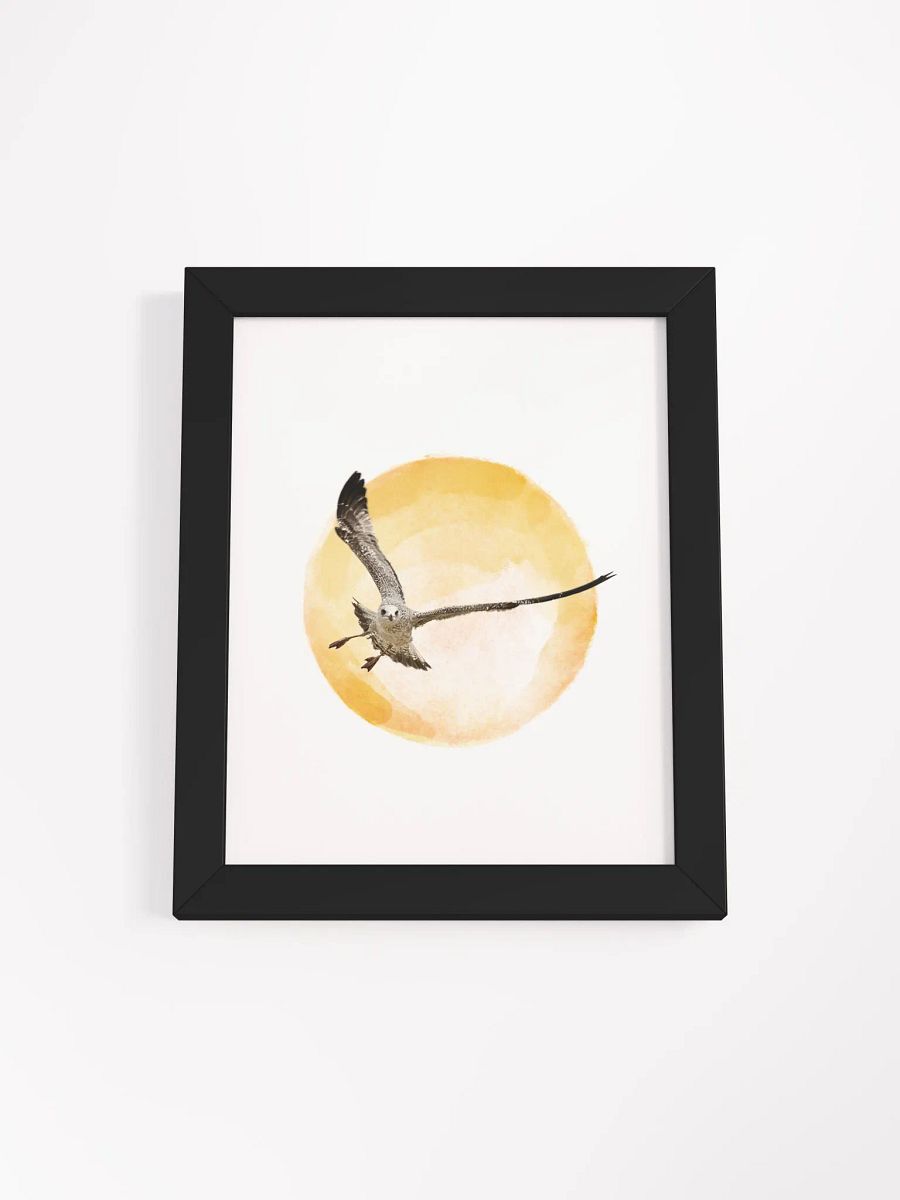 Young Sun Gull Framed Print product image (28)