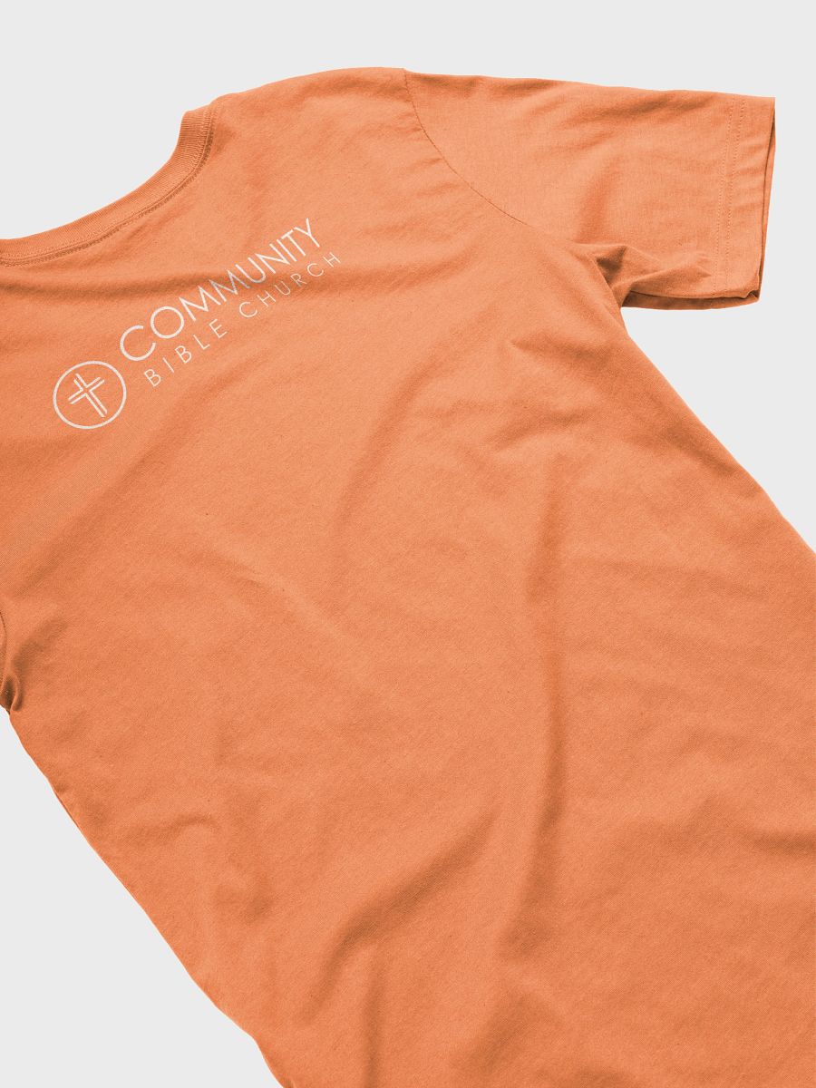"Boast In Jesus" Tshirt (Bright Colors) product image (16)
