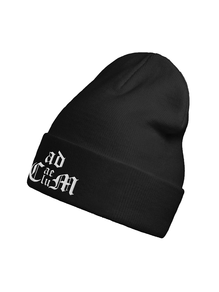 Generic Logo Beanie (Black) product image (2)