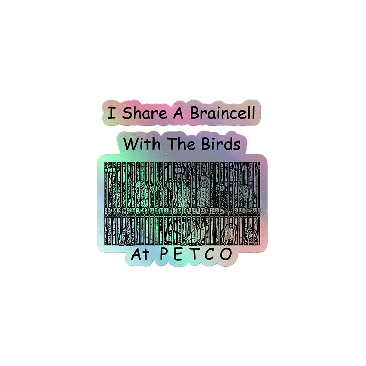 Bird Brains product image (1)