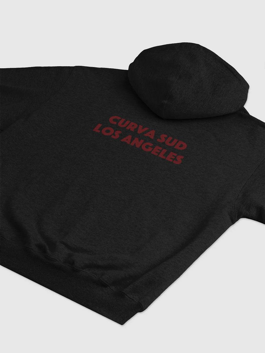 CSLA | Edition I | Champion Hoodie product image (12)