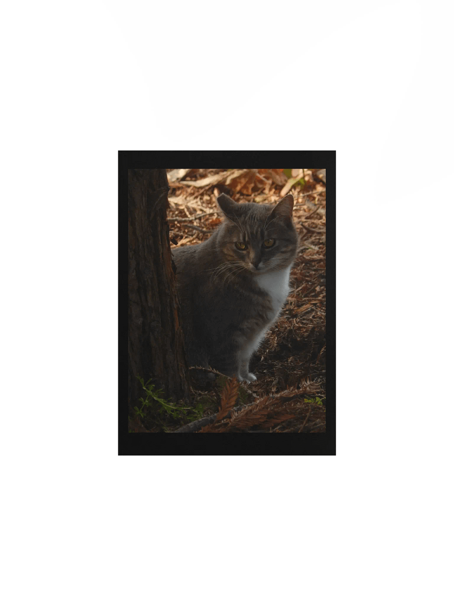 Forest Kitty product image (1)