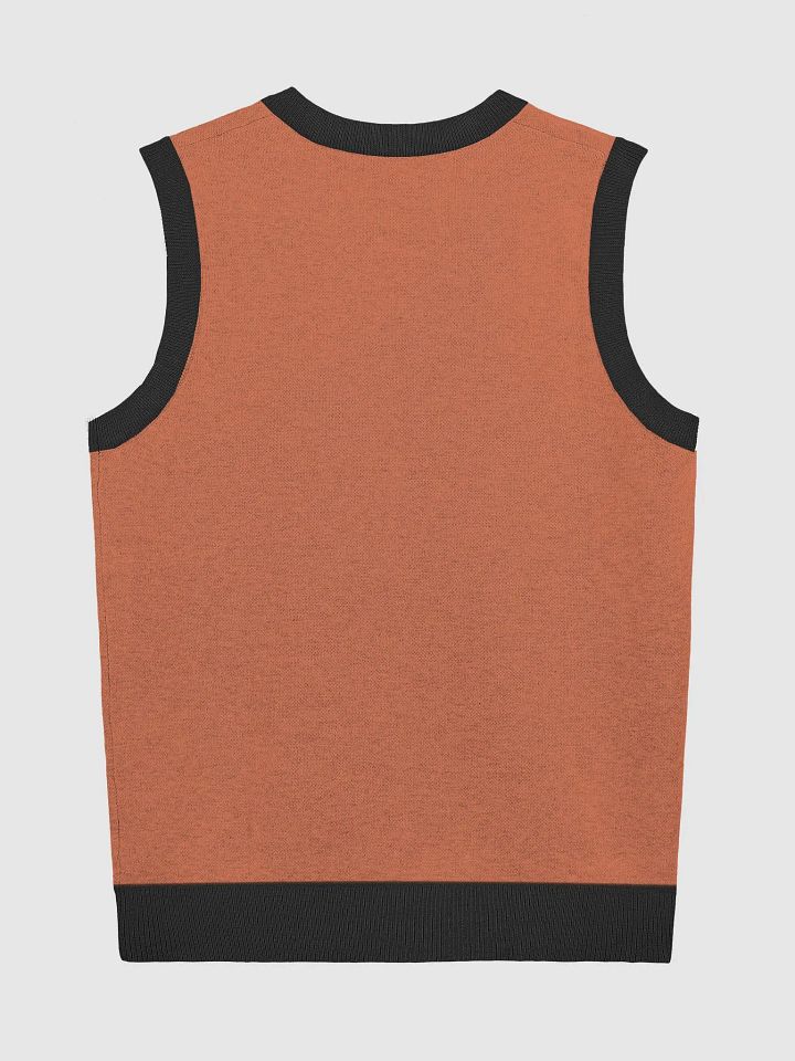 Sculpture Knit V-Neck Vest product image (2)